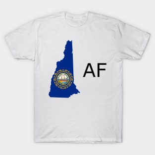 New Hampshire Flag State Outline AF (black) T-Shirt